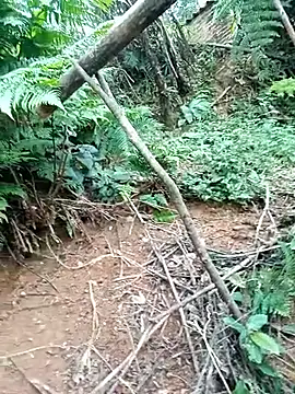 ava-dellght online show from 17, 1, 2026