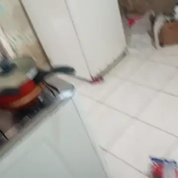  - -lu - online show from 4, 12, 2025