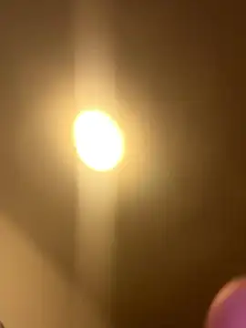 Alexmarcov online show from 8, 1, 2026