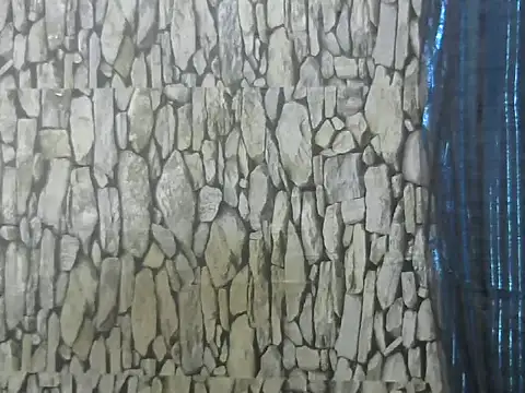 Exotic indian95 online show from 13, 3, 2026