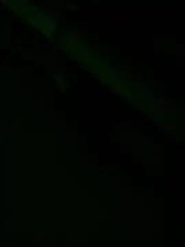 zoodangermind online show from 17, 5, 2026