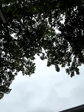 cmvoo online show from 21, 12, 2025