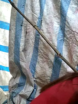 mit0-77 online show from 15, 2, 2026