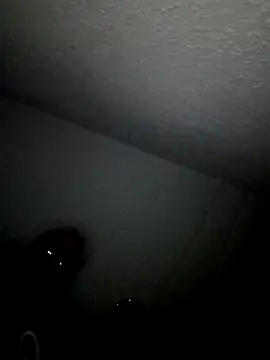 Olivassl22 online show from 25, 4, 2026