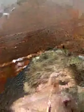 katiyvy online show from 16, 2, 2026