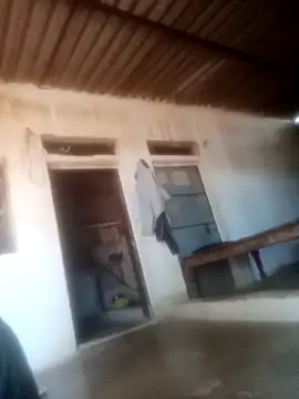 Pinki rajak online show from 6, 3, 2026