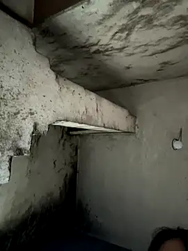 xbaby7788 online show from 14, 12, 2025