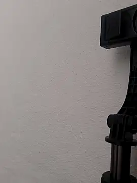 Snapshot of alevlibayan chatting on 16, 12, 2025 alevlibayan online show from 16, 12, 2025