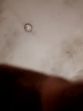 Casadocurioso50 online show from 7, 4, 2026