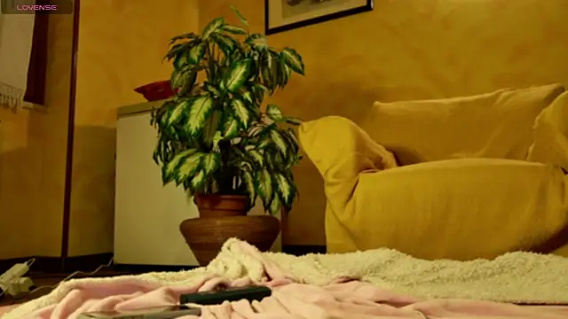 mark ariete online show from 24, 2, 2026