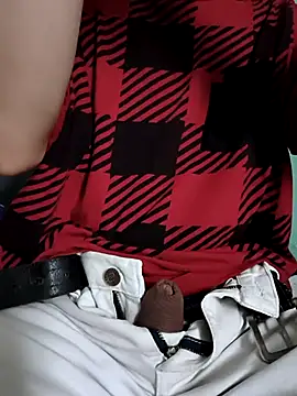 Snapshot of javi1017 chatting on 6, 4, 2026 javi1017 online show from 6, 4, 2026