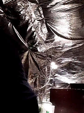 Quebec46 online show from 20, 2, 2026