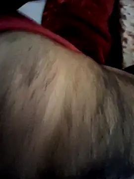 aman4404 online show from 20, 2, 2026