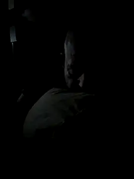 K9handler1 online show from 16, 12, 2025