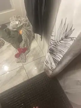 Miguel 667 online show from 9, 2, 2026