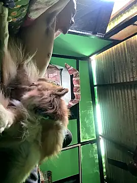 Fixvyusv online show from 12, 1, 2026