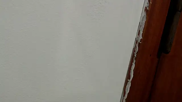 Snapshot of SofiEsteves chatting on 29, 6, 2026 SofiEsteves online show from 29, 6, 2026