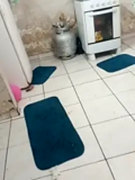 Snapshot of xxxxbucetuda_ chatting on 19, 12, 2025 xxxxbucetuda online show from 19, 12, 2025