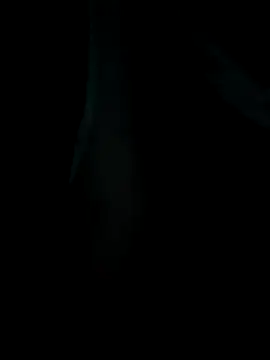 Snapshot of emzoss chatting on 20, 12, 2025 emzoss online show from 20, 12, 2025