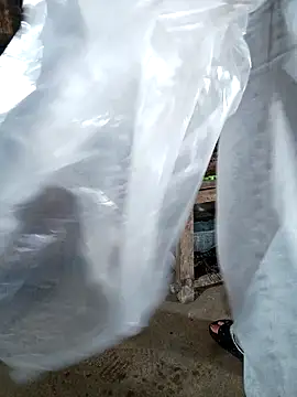 hangnga89 online show from 1, 3, 2026