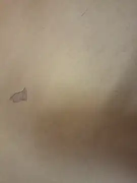 yourburget online show from 19, 2, 2026