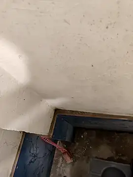 good7685 online show from 21, 12, 2025