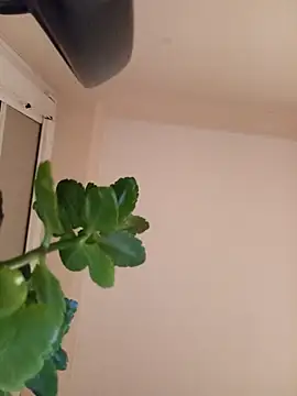 Snapshot of Marichka-YurCash chatting on 10, 1, 2026 Marichka-YurCash online show from 10, 1, 2026