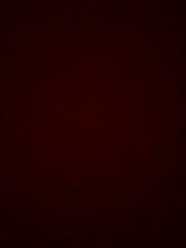 roludo-7688 online show from 23, 12, 2025