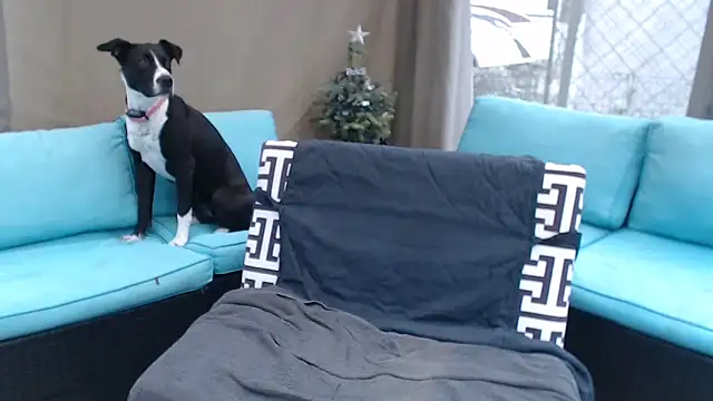 Snapshot of mspatience chatting on 6, 3, 2026 mspatience online show from 6, 3, 2026