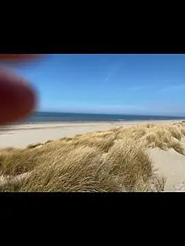 friemeldepiemel online show from 19, 3, 2026