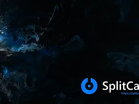 Alice NY online show from 10, 1, 2026