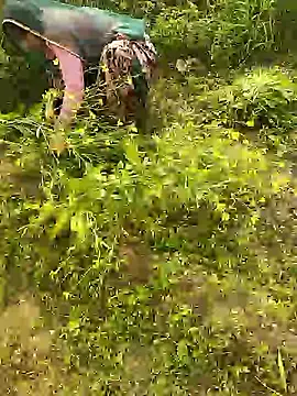 Snapshot of hornycouple20000 chatting on 8, 1, 2026 hornycouple20000 online show from 8, 1, 2026