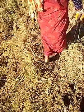 hornycouple20000 online show from 9, 3, 2026