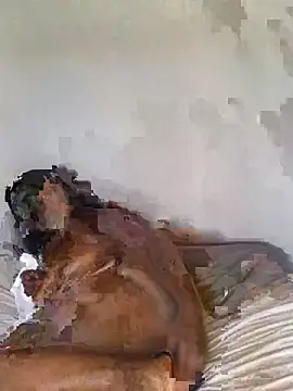 Snapshot of babepear chatting on 25, 2, 2026 babepear online show from 25, 2, 2026