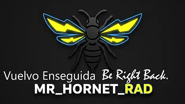 Snapshot of s_hornet chatting on 4, 5, 2026 s hornet online show from 4, 5, 2026