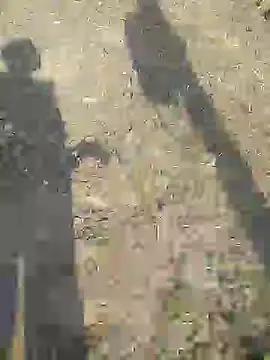 sexyboy 917 online show from 21, 3, 2026