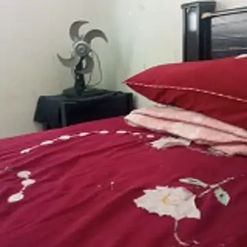    - - bucetuda  2026 online show from 6, 1, 2026