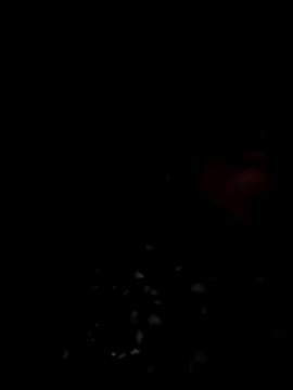 lodhi8080 online show from 9, 3, 2026