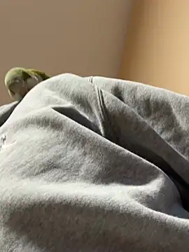 Andres56ojh online show from 14, 2, 2026