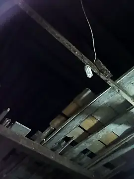 Snapshot of vesla-2k chatting on 3, 4, 2026 vesla-2k online show from 3, 4, 2026