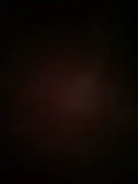 Snapshot of biggmine chatting on 19, 6, 2026 biggmine online show from 19, 6, 2026