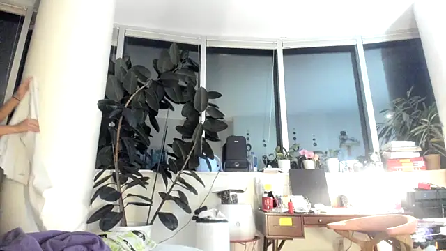 Longhairdaddy online show from 9, 1, 2026