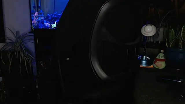 EspanolVato online show from 5, 4, 2026