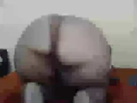 dalukuthula5832 online show from 3, 4, 2026