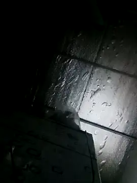 Sana-vn online show from 24, 3, 2026