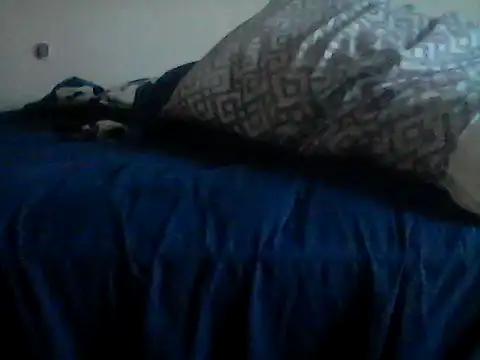 Snapshot of Silencio26 chatting on 31, 1, 2026 Silencio26 online show from 31, 1, 2026