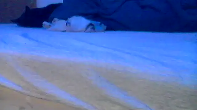 Snapshot of Silencio26 chatting on 19, 4, 2026 Silencio26 online show from 19, 4, 2026