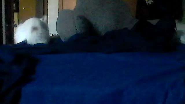 Snapshot of Silencio26 chatting on 6, 7, 2026 Silencio26 online show from 6, 7, 2026