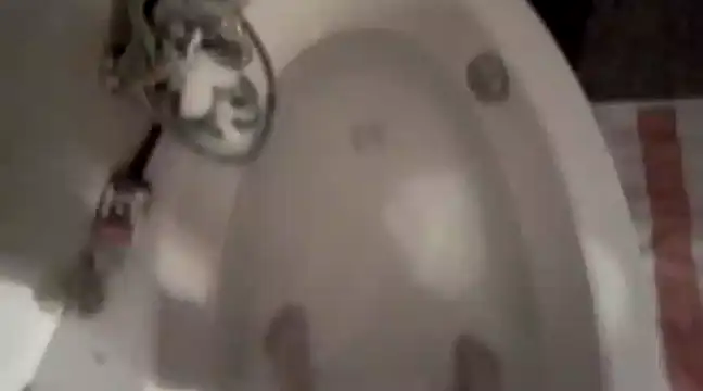 Erz84 online show from 5, 3, 2025