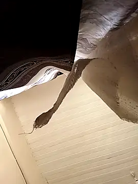 Snapshot of shanicollete chatting on 15, 1, 2026 shanicollete online show from 15, 1, 2026